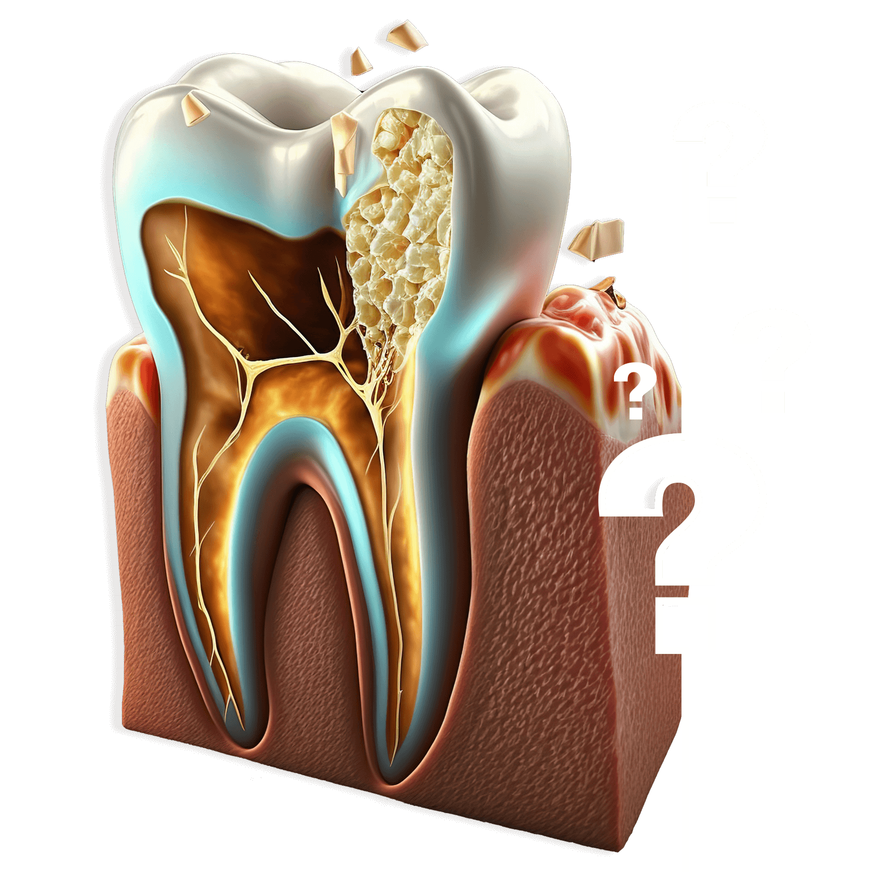 How-Much-Does-Endodontics-Cost