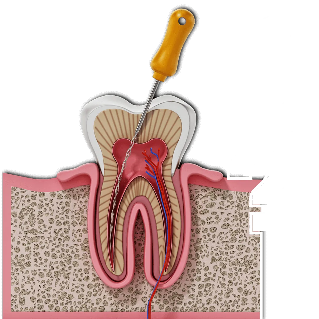 How Much Does Periodontology Cost