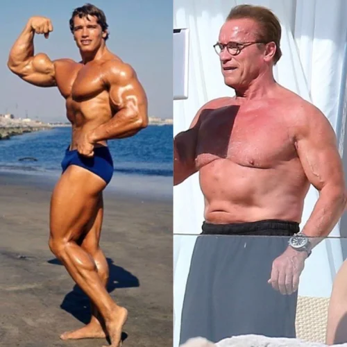 Arnold Schwarzenegger Aesthetic Transformation
