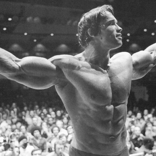 Arnold Schwarzenegger Bodybuilding Journey