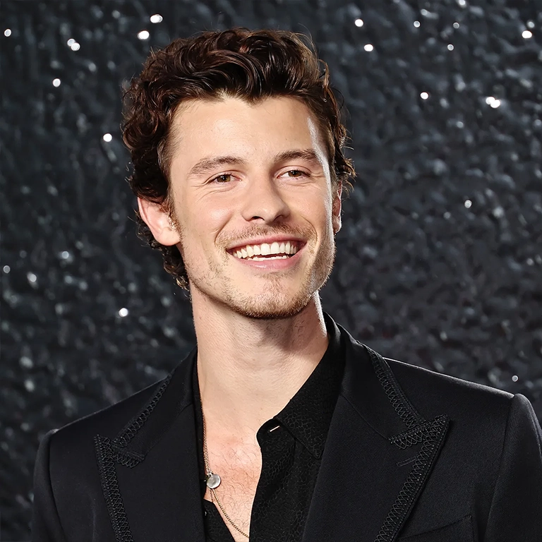 Shawn Mendes Cosmetic Procedures What’s the Speculation