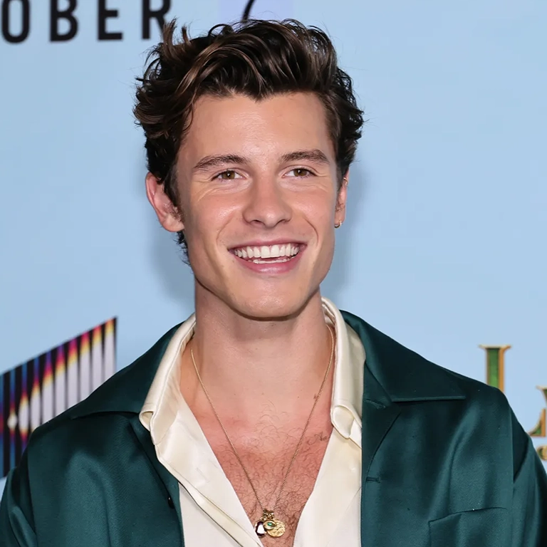 Shawn Mendes Red Carpet Looks A Showcase of Charm