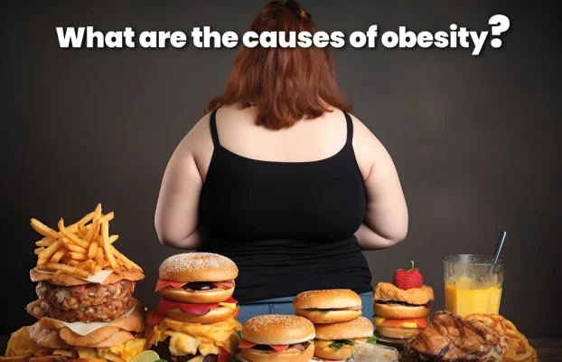 What are the Causes of Obesity?