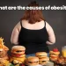 What are the Causes of Obesity