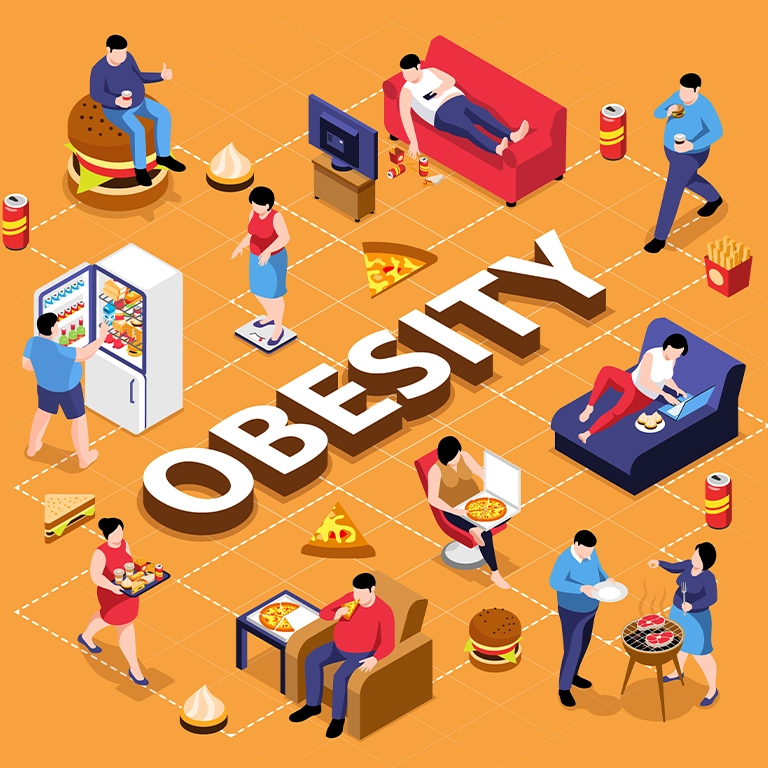 What is Obesity