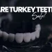 Are Turkey Teeth Safe