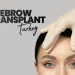 Eyebrow Transplant Turkey