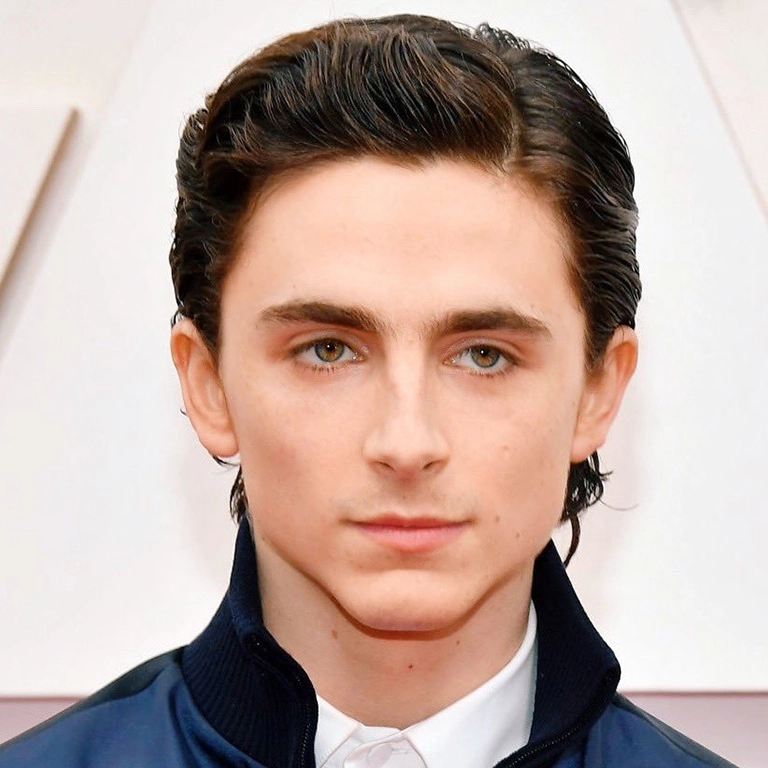 Did Timothée Chalamet Get Jawline Sculpting