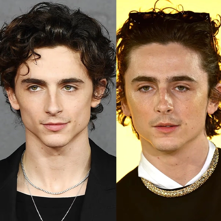 Timothée Chalamet Before and After
