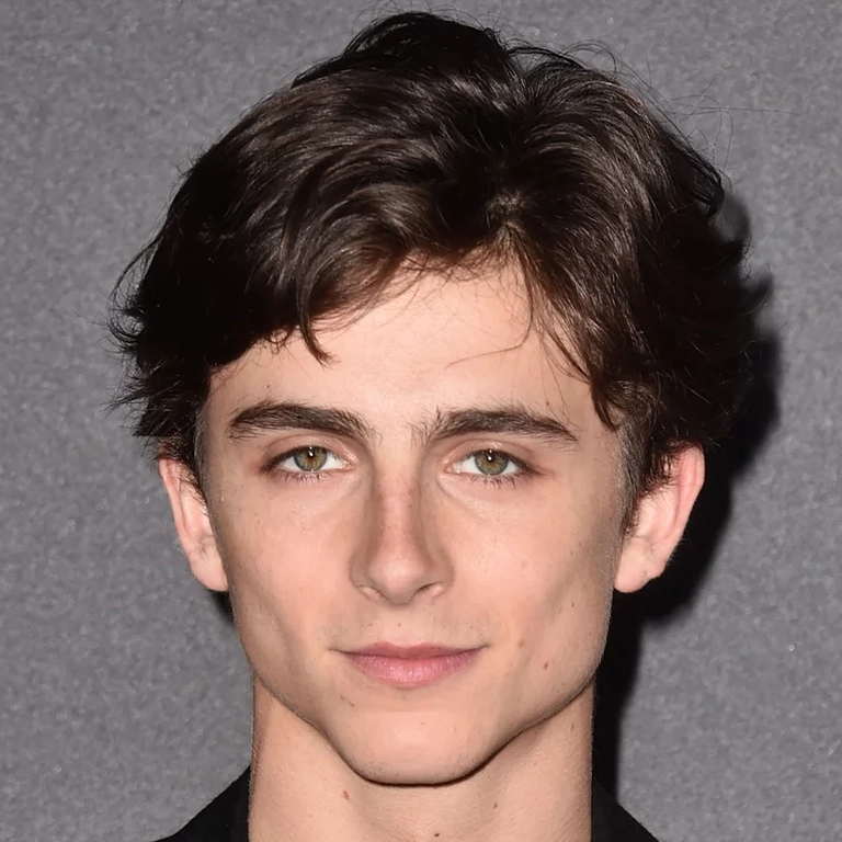 Timothée Chalamet High-Definition Masculinity