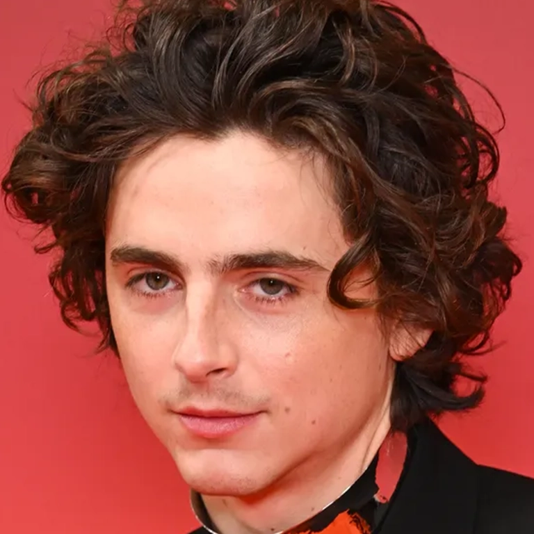 Timothée Chalamet Plastic Surgery
