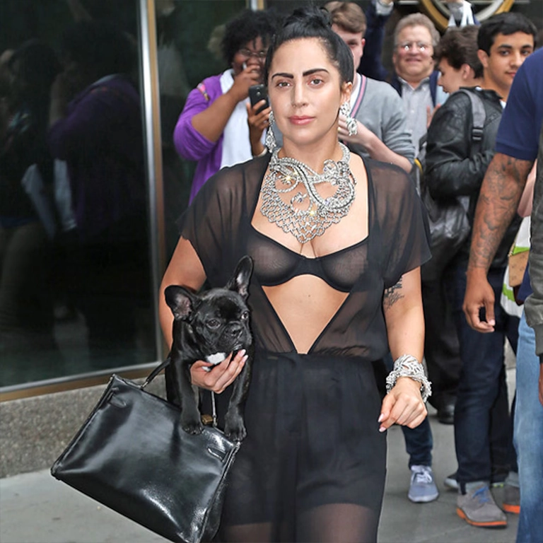 Lady Gaga New Look 2026 Red Carpet and Performance Silhouette