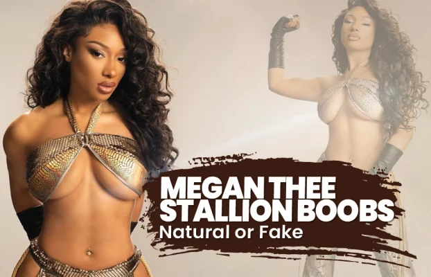 Megan Thee Stallion Boobs: The “Hottie” Fitness Evolution 