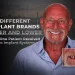 Different Implant Brands Upper and Lower Why One Patient Received Two Implant Systems